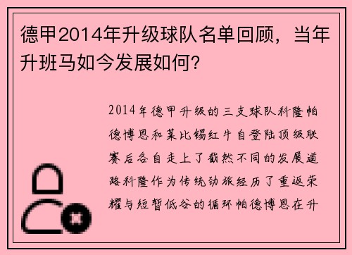 德甲2014年升级球队名单回顾，当年升班马如今发展如何？